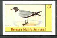 Bernera 1982 Birds #31 (Sabine's Gull) imperf deluxe sheet (£2 value) unmounted mint