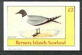 Bernera 1982 Birds #31 (Sabine's Gull) imperf deluxe sheet (£2 value) unmounted mint