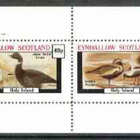 Eynhallow 1982 Shorebirds (Snipe & Plover) perf set of 2 values unmounted mint