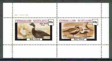 Eynhallow 1982 Shorebirds (Snipe & Plover) perf set of 2 values unmounted mint