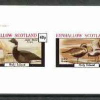 Eynhallow 1982 Shorebirds (Snipe & Plover) imperf set of 2 values unmounted mint