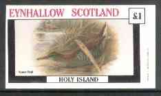 Eynhallow 1982 Water Rail imperf souvenir sheet (£1 value) unmounted mint