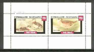 Eynhallow 1982 Marshbirds (Snipe & Crake) perf set of 2 values unmounted mint