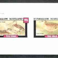 Eynhallow 1982 Marshbirds (Snipe & Crake) imperf set of 2 values unmounted mint