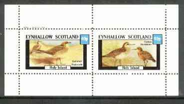 Eynhallow 1982 Birds #22 (Pratincole & Sandpiper) perf set of 2 values unmounted mint