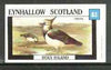 Eynhallow 1982 Birds #22 (Lapwing) imperf souvenir sheet (£1 value) unmounted mint
