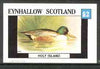 Eynhallow 1982 Birds #22 (Mallard Duck incorrectly inscribed Veler) imperf deluxe sheet (£2 value) unmounted mint