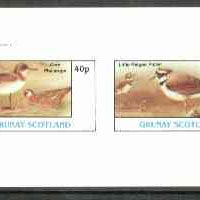 Grunay 1982 Birds #04 (Phalarope & Plover) imperf set of 2 values unmounted mint