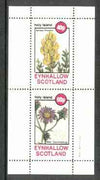 Eynhallow 1982 Flowers #12 (Genista & Aster) perf set of 2 values unmounted mint