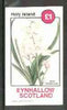 Eynhallow 1982 Flowers #12 (Scilla campanulata) imperf souvenir sheet (£1 value) unmounted mint