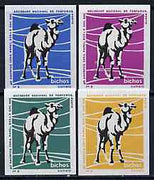 Match Box Labels - Camel from Portuguese Wildlife set with 4 diff background colours, fine unused condition (4 labels)