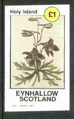 Eynhallow 1982 Flowers #13 (Delphinium) imperf souvenir sheet (£1 value) unmounted mint