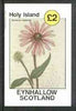 Eynhallow 1982 Flowers #13 (Rudbeckia asperrima) imperf deluxe sheet (£2 value) unmounted mint