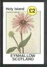 Eynhallow 1982 Flowers #13 (Rudbeckia asperrima) imperf deluxe sheet (£2 value) unmounted mint