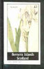Bernera 1982 Flowers #16 (Iris swertii) imperf souvenir sheet (£1 value) unmounted mint