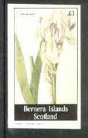 Bernera 1982 Flowers #16 (Iris swertii) imperf souvenir sheet (£1 value) unmounted mint