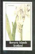 Bernera 1982 Flowers #16 (Iris swertii) imperf souvenir sheet (£1 value) unmounted mint