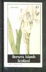 Bernera 1982 Flowers #16 (Iris swertii) imperf souvenir sheet (£1 value) unmounted mint