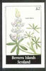 Bernera 1982 Flowers #16 (Lupinus nanus) imperf deluxe sheet (£2 value) unmounted mint