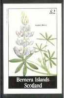 Bernera 1982 Flowers #16 (Lupinus nanus) imperf deluxe sheet (£2 value) unmounted mint