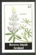 Bernera 1982 Flowers #16 (Lupinus nanus) imperf deluxe sheet (£2 value) unmounted mint
