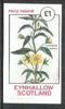 Eynhallow 1982 Flowers #14 (Lysimachia hydrida) imperf souvenir sheet (£1 value) unmounted mint