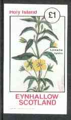 Eynhallow 1982 Flowers #14 (Lysimachia hydrida) imperf souvenir sheet (£1 value) unmounted mint