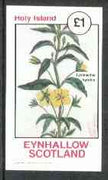 Eynhallow 1982 Flowers #14 (Lysimachia hydrida) imperf souvenir sheet (£1 value) unmounted mint