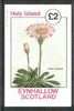 Eynhallow 1982 Flowers #14 (Gerberia crenata) imperf deluxe sheet (£2 value) unmounted mint