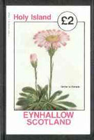Eynhallow 1982 Flowers #14 (Gerberia crenata) imperf deluxe sheet (£2 value) unmounted mint