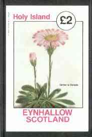 Eynhallow 1982 Flowers #14 (Gerberia crenata) imperf deluxe sheet (£2 value) unmounted mint