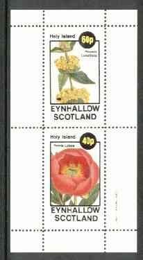 Eynhallow 1982 Flowers #15 (Phlomis & Peonia) perf set of 2 values unmounted mint