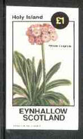 Eynhallow 1982 Flowers #15 (Primula longifolia) imperf souvenir sheet (£1 value) unmounted mint