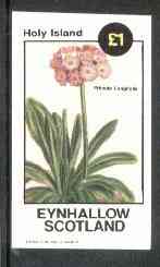 Eynhallow 1982 Flowers #15 (Primula longifolia) imperf souvenir sheet (£1 value) unmounted mint