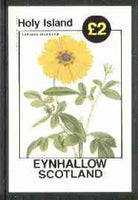 Eynhallow 1982 Flowers #15 (Calliopsis drummondii) imperf deluxe sheet (£2 value) unmounted mint