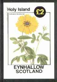 Eynhallow 1982 Flowers #15 (Calliopsis drummondii) imperf deluxe sheet (£2 value) unmounted mint