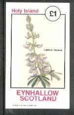 Eynhallow 1982 Flowers #16 (Lupinus ornatus) imperf souvenir sheet (£1 value) unmounted mint