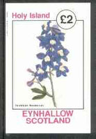 Eynhallow 1982 Flowers #16 (Delphinium mesoleucum) imperf deluxe sheet (£2 value) unmounted mint