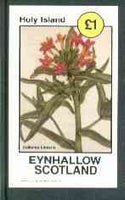 Eynhallow 1982 Flowers #17 (Collomia linearis) imperf souvenir sheet (£1 value) unmounted mint