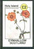 Eynhallow 1982 Flowers #17 (Potentilla atrosanguines pedata) imperf deluxe sheet (£2 value) unmounted mint
