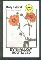 Eynhallow 1982 Flowers #17 (Potentilla atrosanguines pedata) imperf deluxe sheet (£2 value) unmounted mint