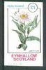 Eynhallow 1982 Flowers #18 (Aster sibiricus) imperf souvenir sheet (£1 value) unmounted mint