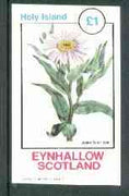 Eynhallow 1982 Flowers #18 (Aster sibiricus) imperf souvenir sheet (£1 value) unmounted mint
