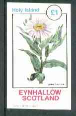 Eynhallow 1982 Flowers #18 (Aster sibiricus) imperf souvenir sheet (£1 value) unmounted mint