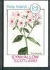 Eynhallow 1982 Flowers #18 (Phlox wheeleriana) imperf deluxe sheet (£2 value) unmounted mint