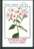 Eynhallow 1982 Flowers #18 (Phlox wheeleriana) imperf deluxe sheet (£2 value) unmounted mint