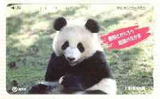 Telephone Card - Japan 50 units phone card showing Panda with Japanese inscription on red (card number 231-092)