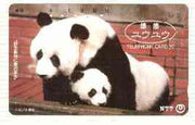 Telephone Card - Japan 50 units phone card showing Panda with cub (card number 230-152)