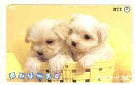 Telephone Card - Japan 50 units phone card showing two Puppies in Yellow Basket (card number 290-386)
