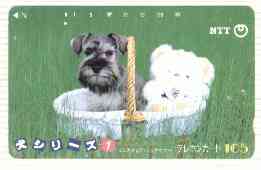 Telephone Card - Japan 105 units phone card showing Shnauzer with soft toy in Basket (card number 290-382)